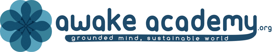 Awake Academy