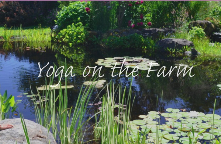 Santosha Yoga Retreats with Dorothy Price
