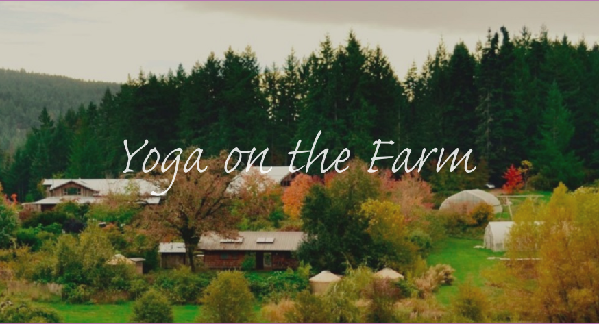 Santosha Yoga Retreats with Dorothy Price