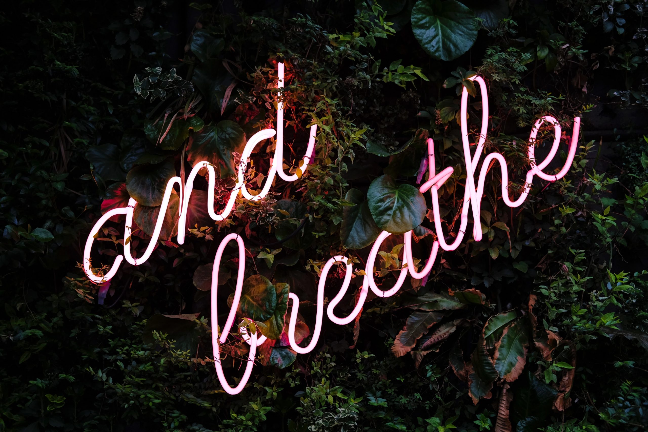 Pink neon sign fixed to a dark green, leafy backdrop. It reads: 'and breathe'